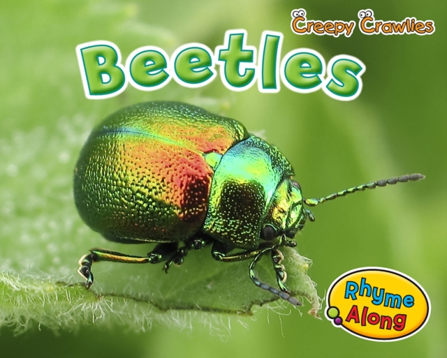 Beetles, PDF eBook