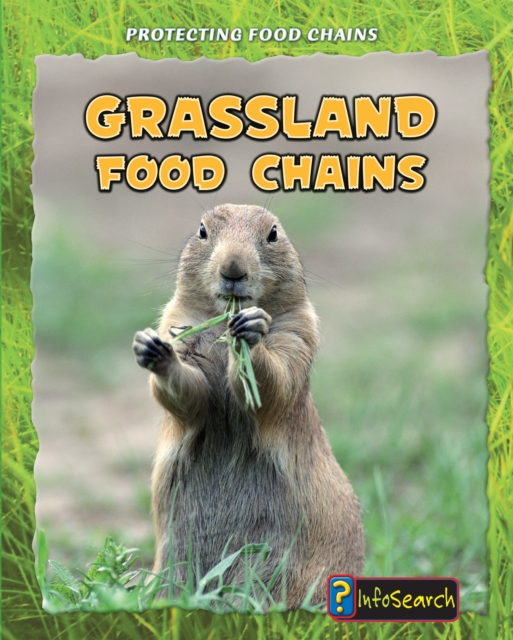 Grassland Food Chains, PDF eBook