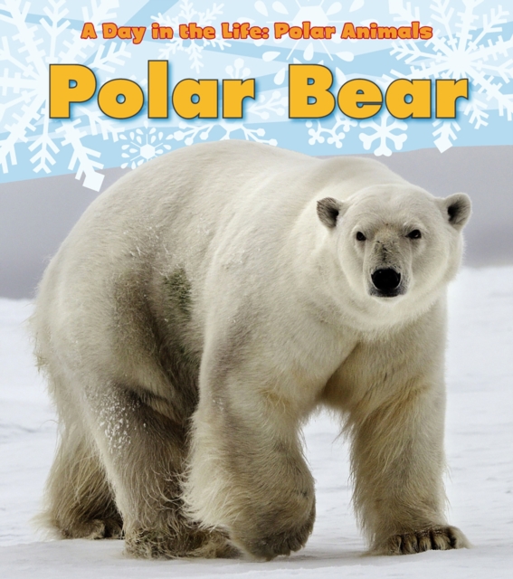 Polar Bear, PDF eBook