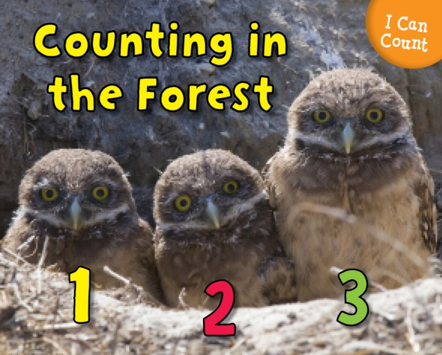 Counting in the Forest, PDF eBook