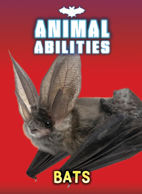 Bats, Hardback Book