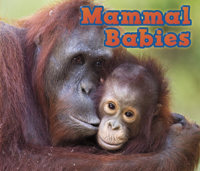Mammal Babies, Paperback / softback Book
