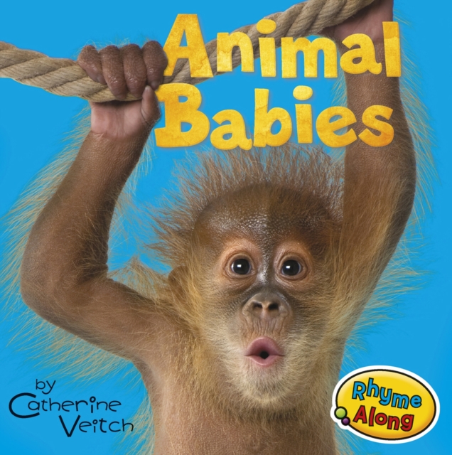Animal Babies, Board book Book