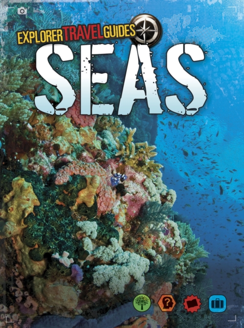 Seas, Paperback / softback Book