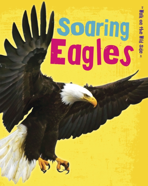 Soaring Eagles, Hardback Book