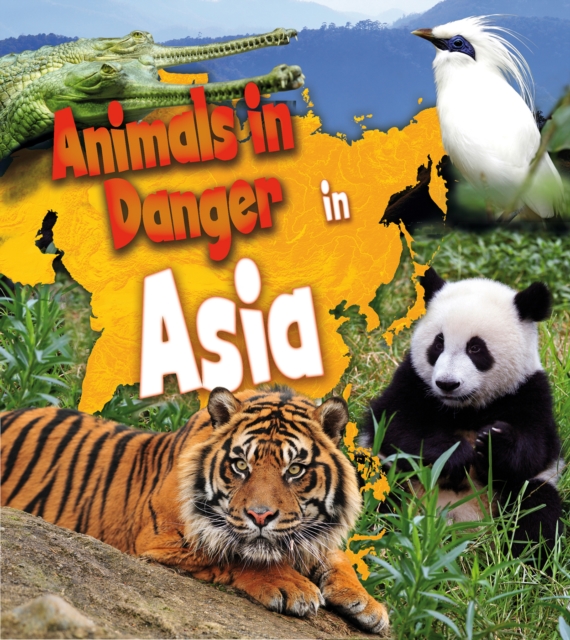 Animals in Danger in Asia, Paperback / softback Book