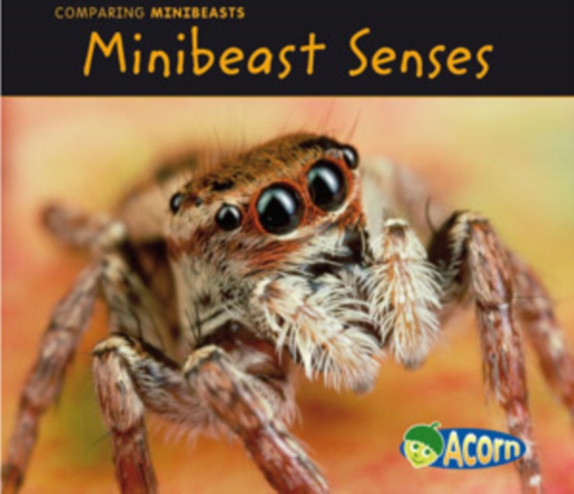 Minibeast Senses, Paperback Book