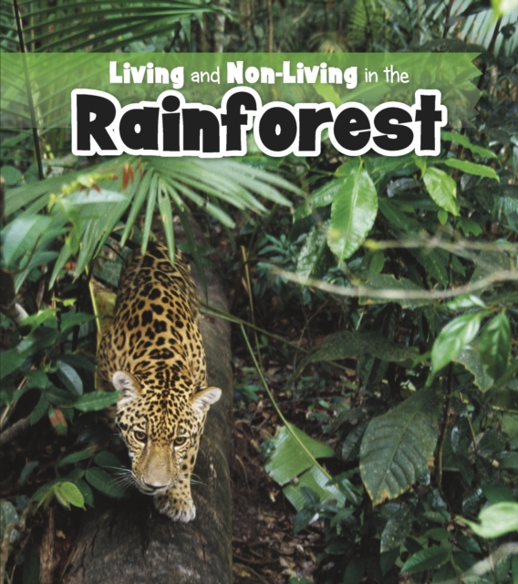 Living and Non-living in the Rainforest, Hardback Book