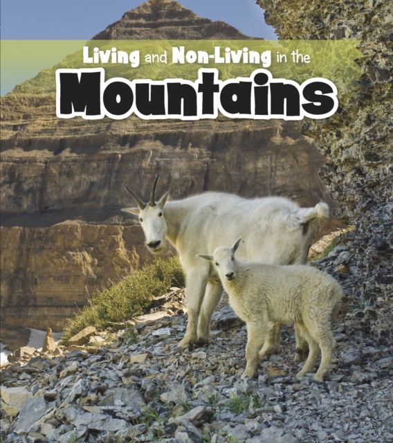 Living and Non-living in the Mountains, Hardback Book