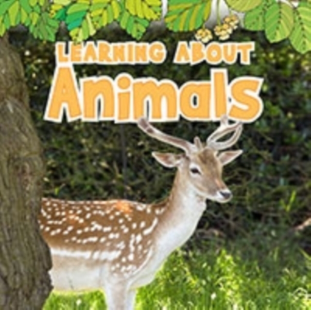 Learning About Animals, Hardback Book