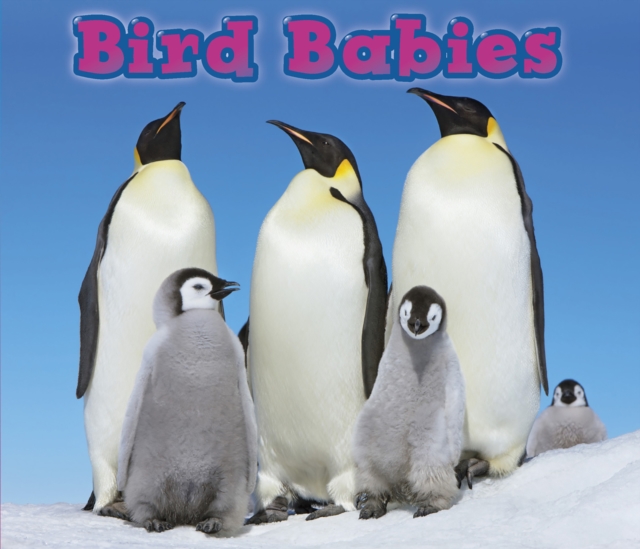 Bird Babies, PDF eBook