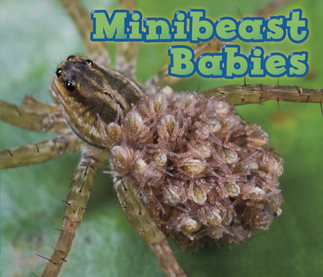 Minibeast Babies, PDF eBook