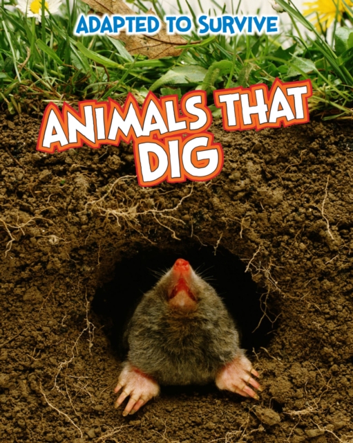 Adapted to Survive: Animals that Dig, Paperback / softback Book