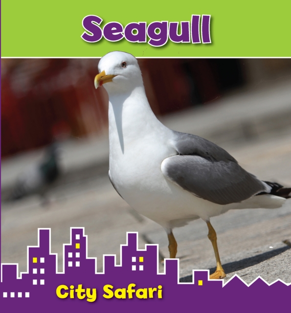 Seagull : City Safari, Paperback / softback Book