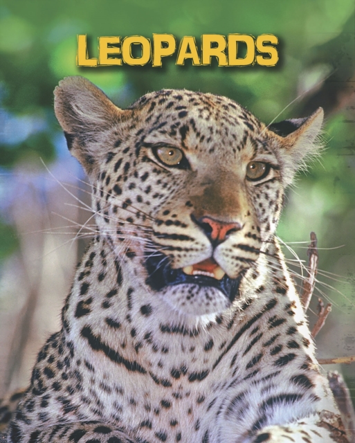 Leopards, Hardback Book