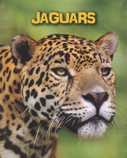 Jaguars, Paperback Book