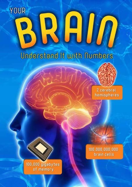 Your Brain : Understand it with Numbers, Hardback Book