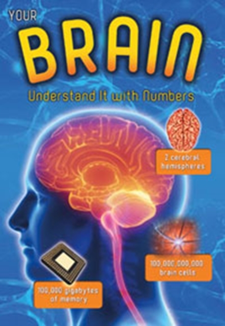 Your Brain : Understand it with Numbers, Paperback / softback Book