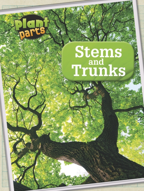 Stems and Trunks, Paperback / softback Book