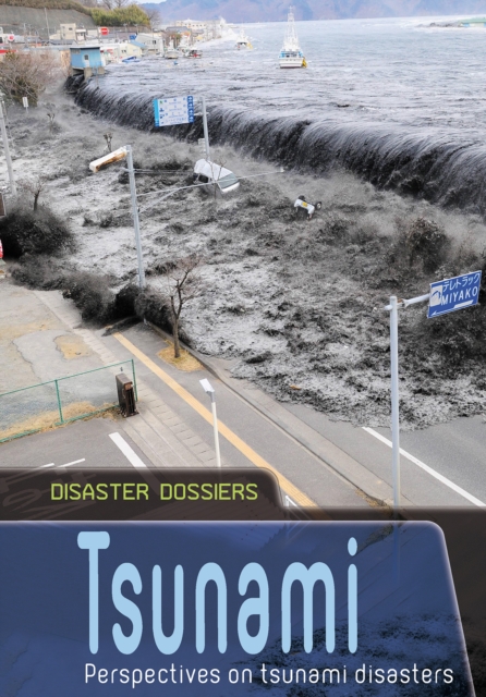 Tsunami : Perspectives on Tsunami Disasters, Paperback / softback Book
