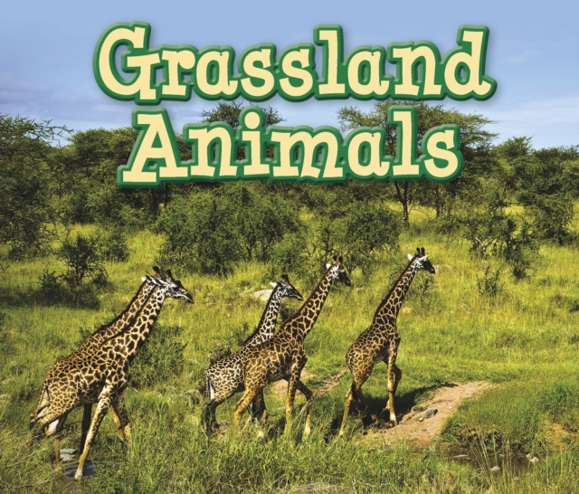 Grassland Animals, Hardback Book