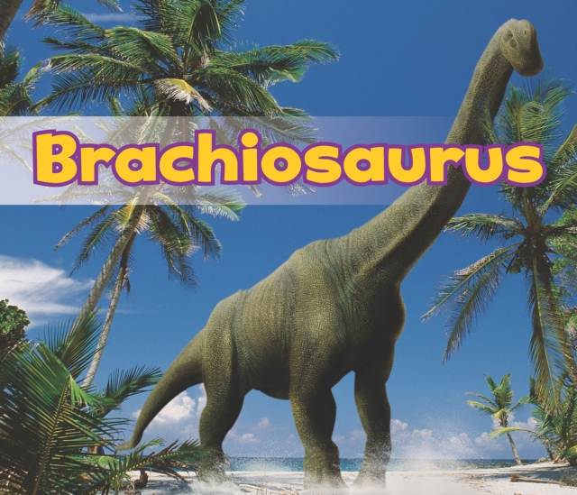 Brachiosaurus, Paperback / softback Book