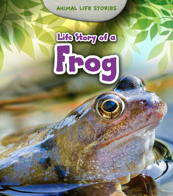 Life Story of a Frog, PDF eBook