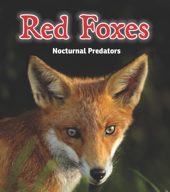 Red Foxes : Nocturnal Predators, PDF eBook