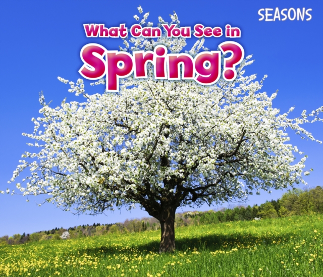 What Can You See In Spring?, Hardback Book