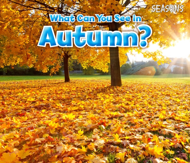 What Can You See In Autumn?, Paperback / softback Book
