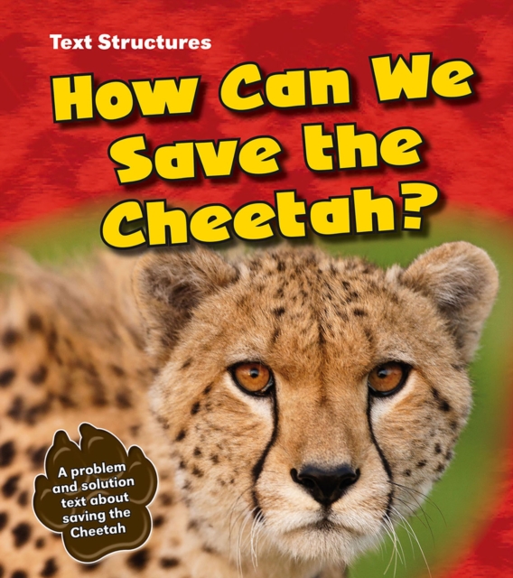 How Can We Save the Cheetah? : A Problem and Solution Text, Hardback Book