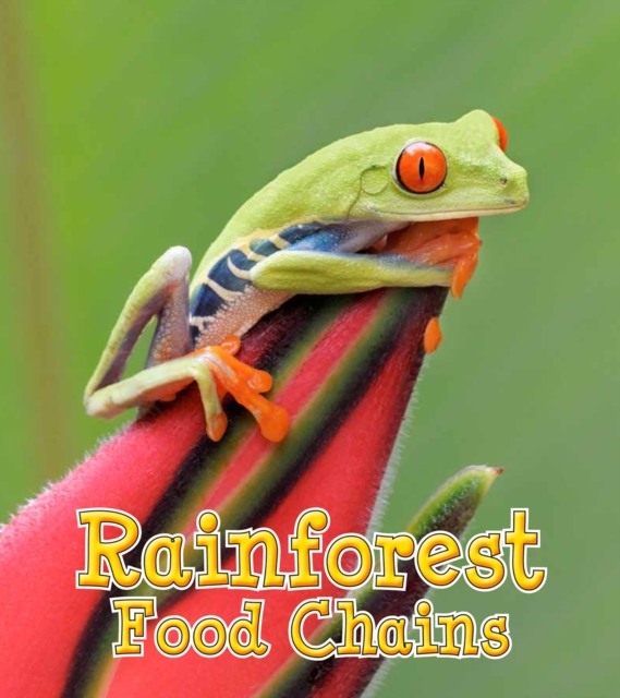 Rainforest Food Chains, PDF eBook