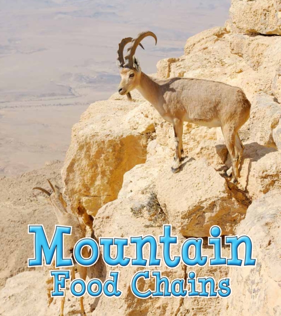 Mountain Food Chains, PDF eBook