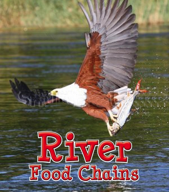 River Food Chains, PDF eBook