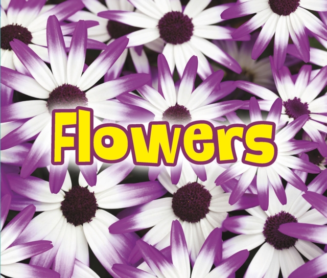All About Flowers, Hardback Book