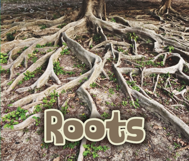 All About Roots, Paperback / softback Book