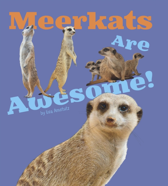 Meerkats Are Awesome!, Hardback Book