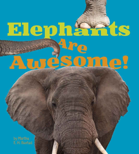Elephants Are Awesome!, Electronic book text Book