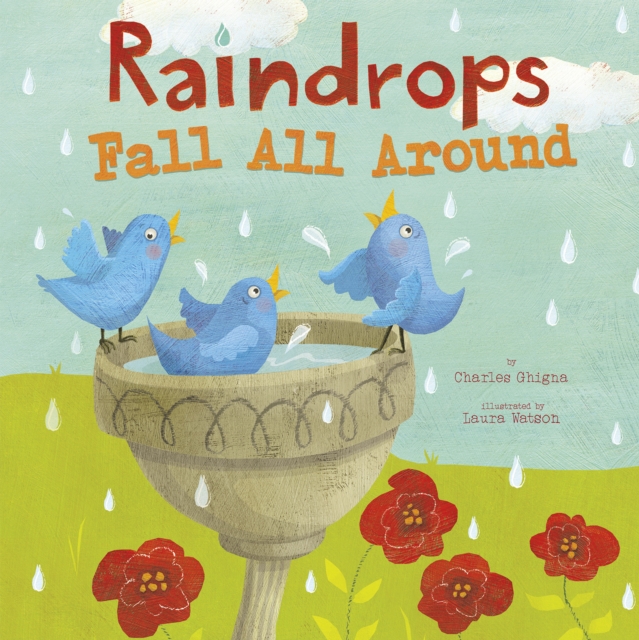 Raindrops Fall All Around, Hardback Book