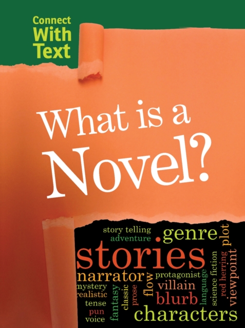 What is a Novel?, PDF eBook