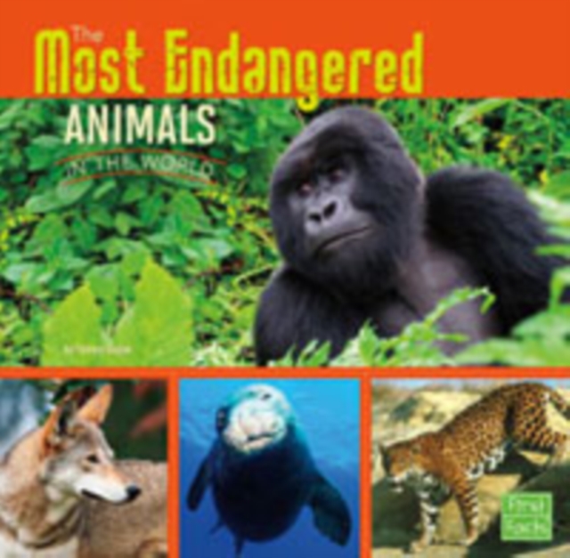 The Most Endangered Animals in the World, Paperback / softback Book