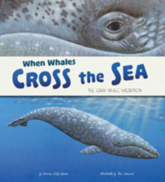 When Whales Cross the Sea : The Grey Whale Migration, Paperback / softback Book