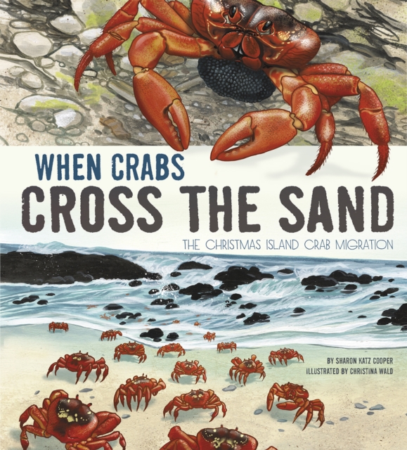 When Crabs Cross the Sand : The Christmas Island Crab Migration, PDF eBook