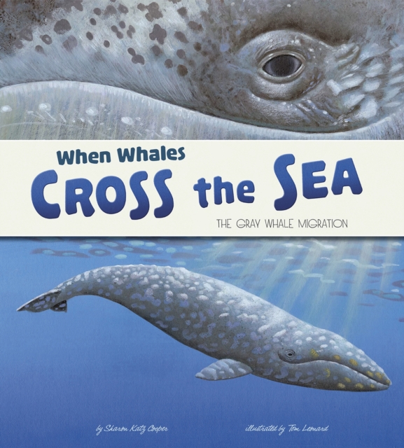 When Whales Cross the Sea : The Grey Whale Migration, PDF eBook