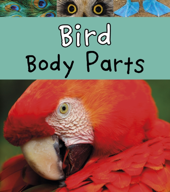 Bird Body Parts, Hardback Book