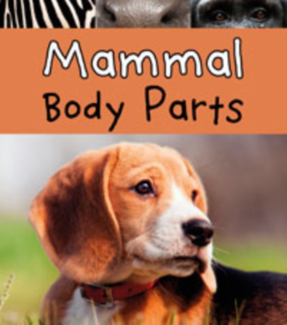 Animal Body Parts Pack A of 6, Hardback Book