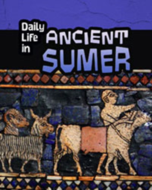 Daily Life in Ancient Civilizations Pack B of 4, Mixed media product Book