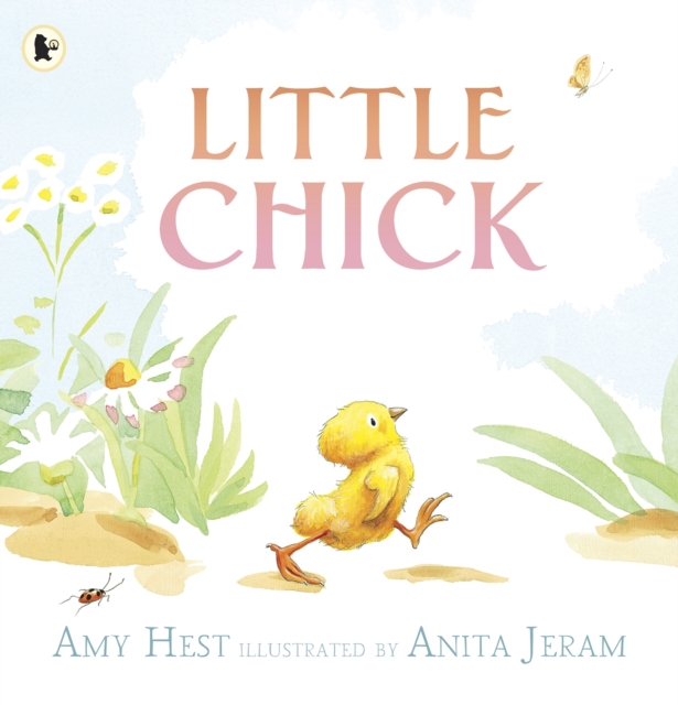 Little Chick, Paperback / softback Book