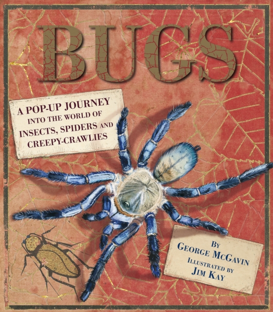 Bugs : A Pop-up Journey into the World of Insects, Spiders and Creepy-crawlies, Hardback Book