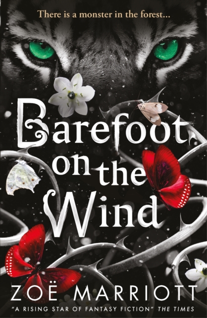 Barefoot on the Wind, Paperback / softback Book
